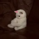 ⋆｡°·☁⋆𓂃Beyaz