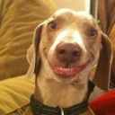 avatar ! P A P P B O O O