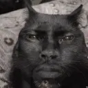 Аватар daviddggs