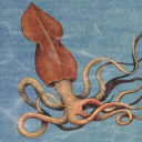 avatar you gotta be squidding me