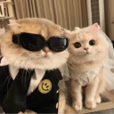 avatar Haqimy ❤️