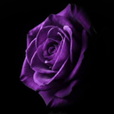donken9's Avatar