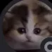 vorziess