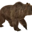 grizzly7824