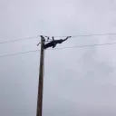 linemanboy