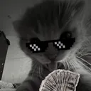 vems2cool