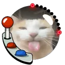 qibzfx