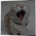 realmongral