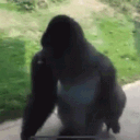 .spinningmonke