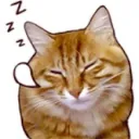 mimmikami.