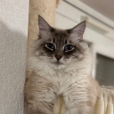 miaaaa01