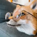 syzfox