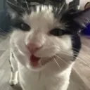 garfield7420