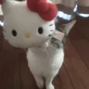 akoshomies
