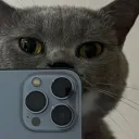 angganxd