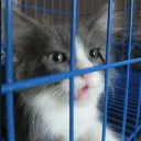 crazypotato05 avatar