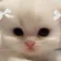 lrexttv