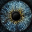 avatar AUGE