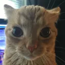 odesaii
