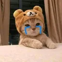 wyvu17