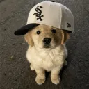 realyoku