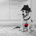 Аватар sleepyrbs