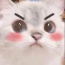 sssarah_b