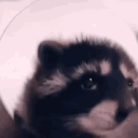 avatar annasmileyfacee