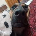 creepyunclejohn avatar