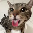 devypooo