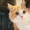 luohan6517 member profile picture
