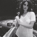 avatar ⋆. 𐙚˚࿔ 𝐤𝐚𝐭𝐞𝜗𝜚˚⋆