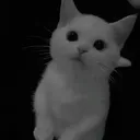 zyrexxy07