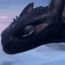 _thedragonknight
