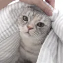 blisschen
