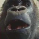 mieayam777