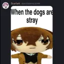 heyhowslifern avatar