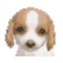 spongy