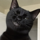 avatar KARMA