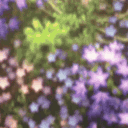nightleafy