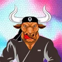 algobullgangnft9824