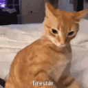 avatar エミン
