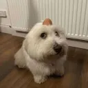 peanuuttt