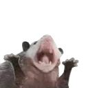 vabart