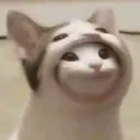 jennyneverpmyoufirst