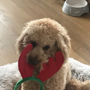 Oscar