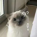 xanusiaa_