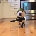 1oef