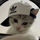 j_4ack