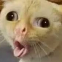 avatar Uninteressant